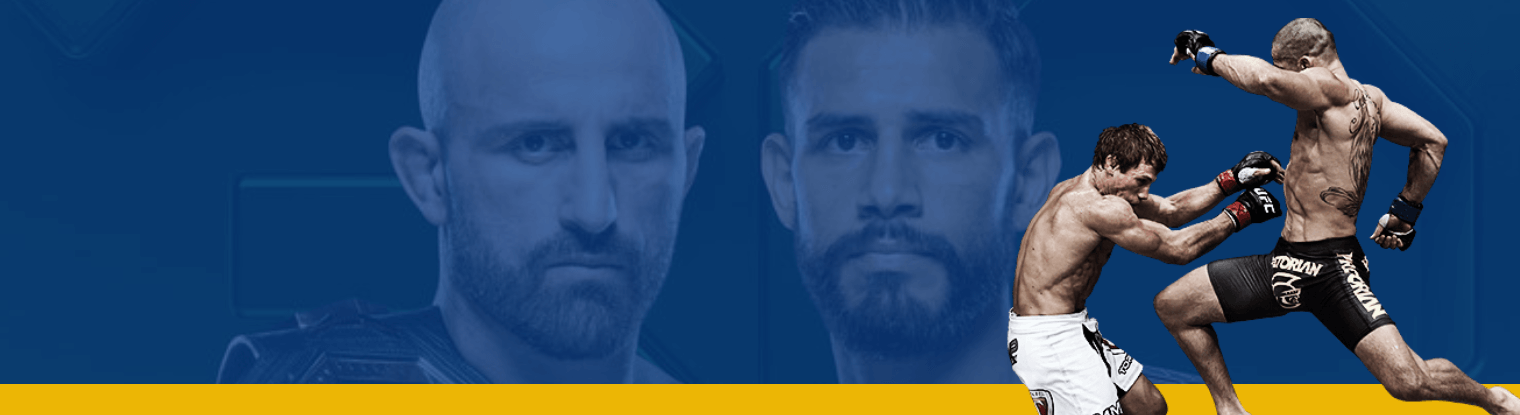 Elevate Your UFC Betting with Pelican PPH