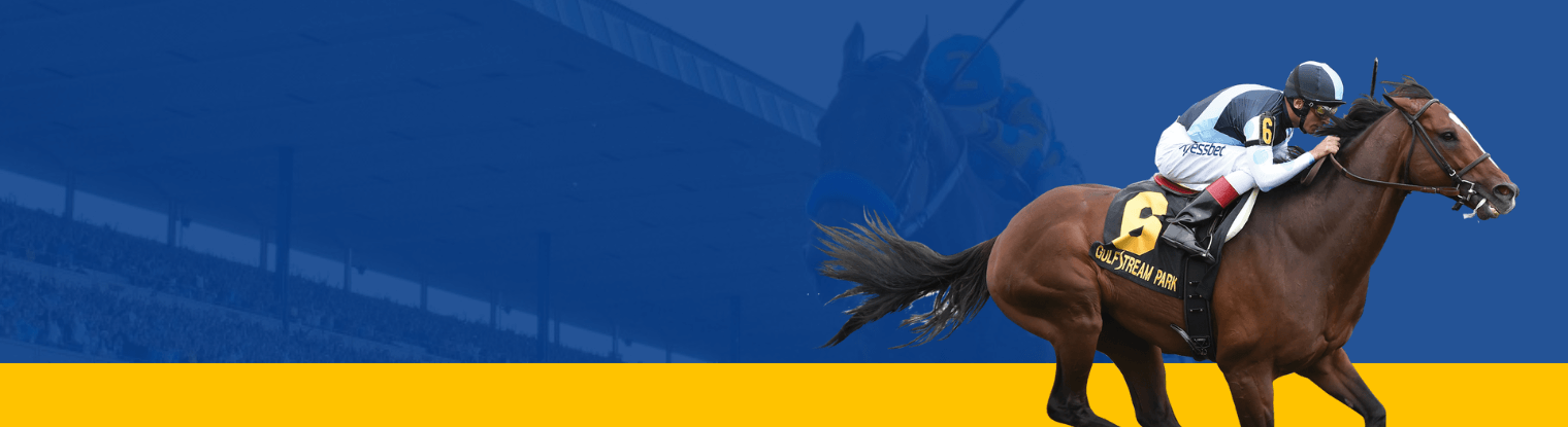 horse racing software can increase profits during the Triple Crown.