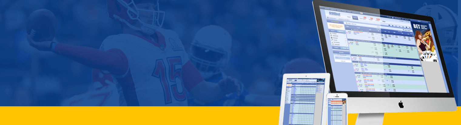 Your online sportsbook can be customized